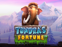 Tundra's Fortune